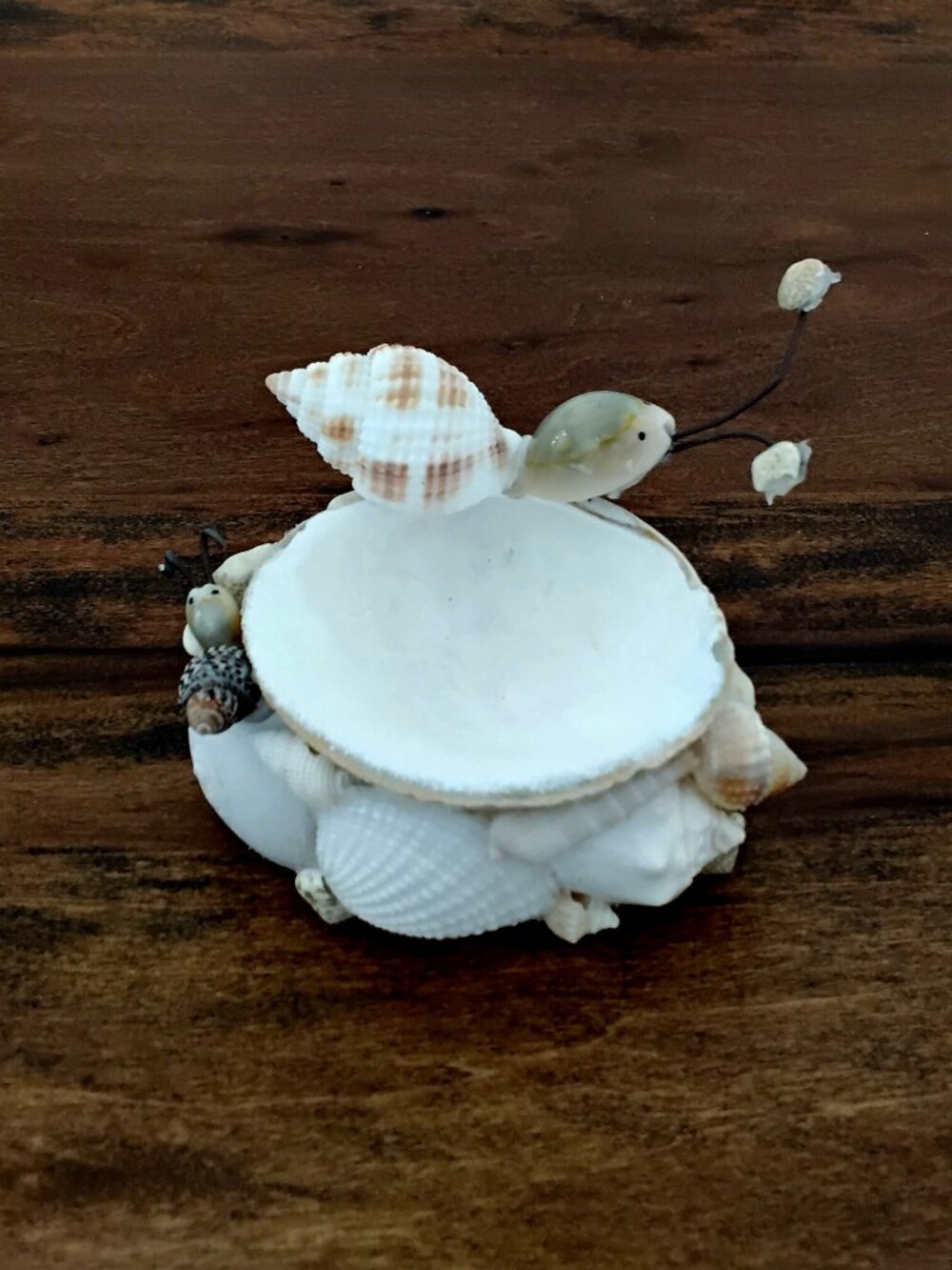 Handmade Sea Shell Trinket Dish with Snails
